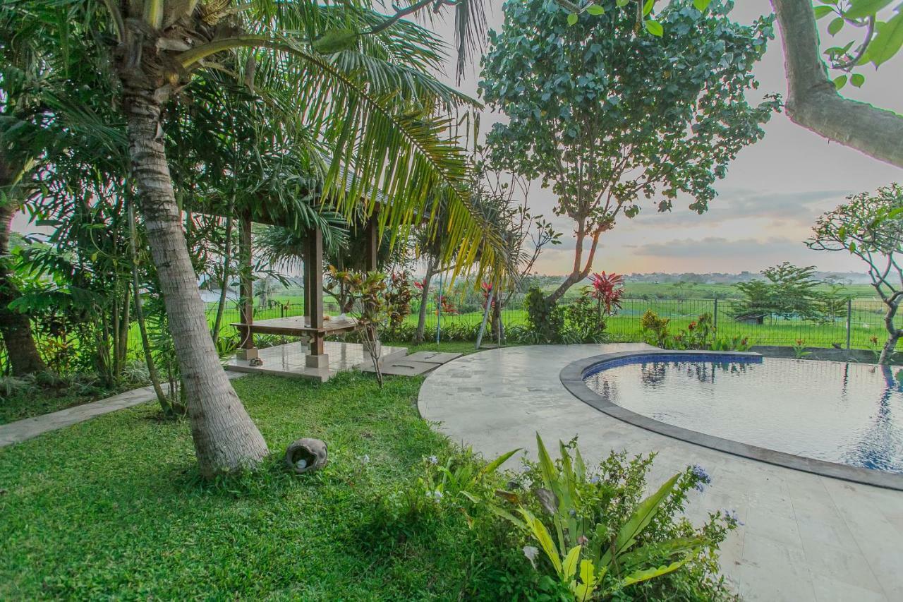 Villa D'Carik Bali Denpasa Buitenkant foto